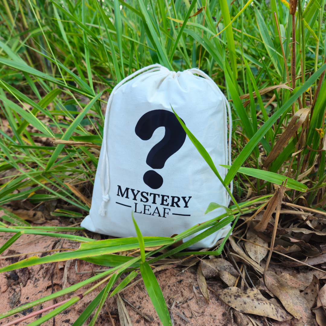 Mystery Leaf