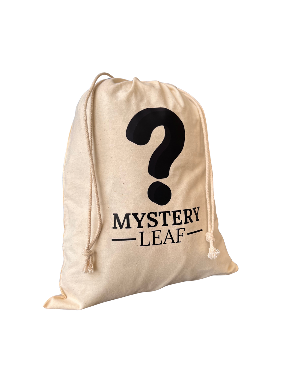 Mystery Bag