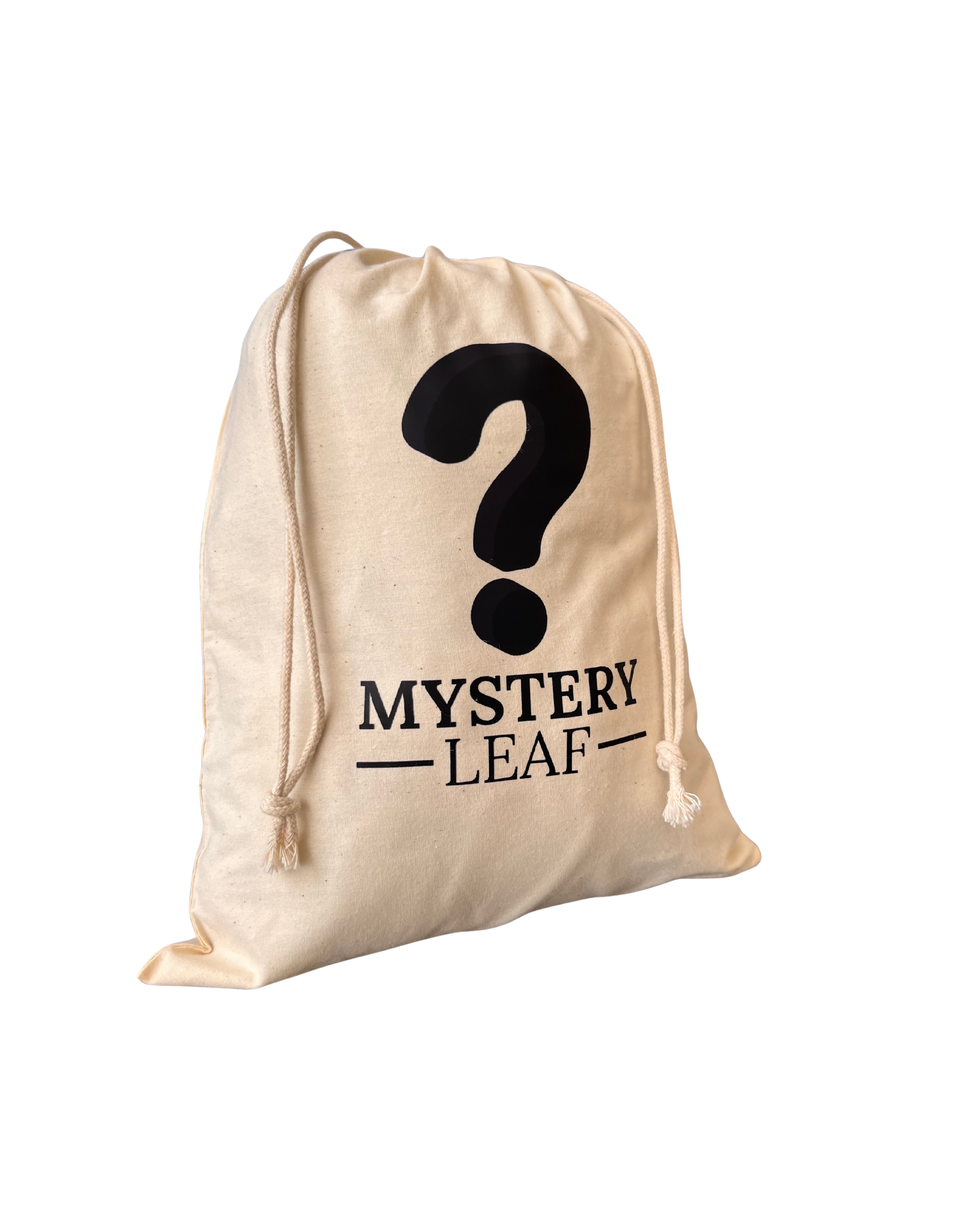 Mystery Bag